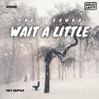 Wait a Little - Single - David Kawka