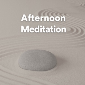 Afternoon Meditation