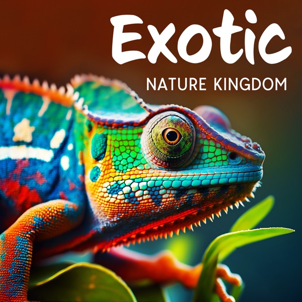 Exotic Nature Kingdom