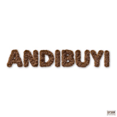 ANDIBUYI (feat. Bridgette SA & DJ Izzy) - Single