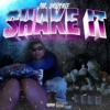 Shake It - Single