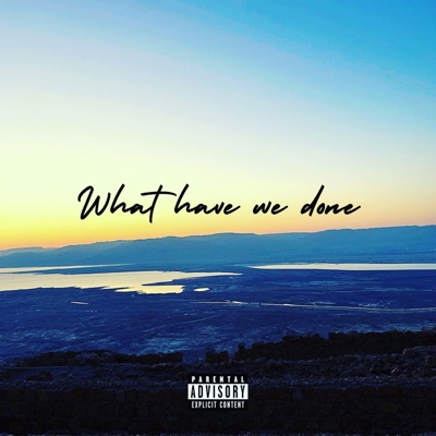 What Have We Done - Single