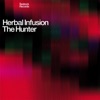 The Hunter (club mix) cover art