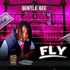 Fly Gentle Gee