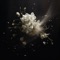 Falling Flower - ODISOL lyrics