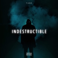 Indestructible - Single - Tank Musik