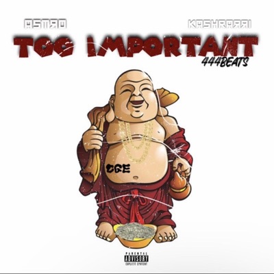 Too Important (feat. Ka$hRarri) - Single