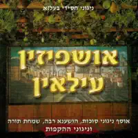 וולס - אודך — בעלזא