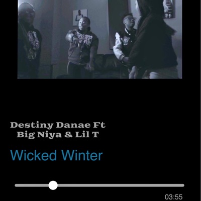 Wicked Winter (feat. Big Niya & Lil T) - Single