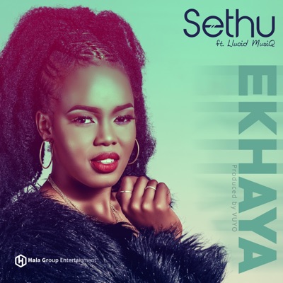 EKHAYA (feat. Llucid MusiQ) - Single