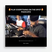 Play Everything On the Spot Pizzicato (Raw Audio) artwork