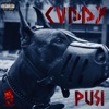 PUSI - Single