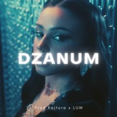 Dzanum (feat. LUM Balkan Beats) [Voyage x Breskvica x Drill Type Beat] artwork