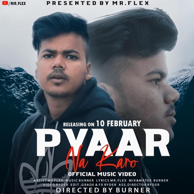 Pyaar Na Karo (feat. Mr. Flex) - Single