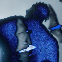 Wave - Single - Vibezallaround