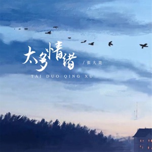 太多情绪 - Single
