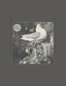 Ascolta Dead Seagals, guarda video musicali, leggi la biografia, vedi le date del tour & altro!