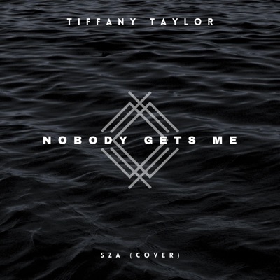 Nobody Gets Me - Single