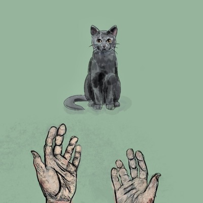 Pick Up the Cat - Single