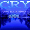 Cry (Cry Me a River) - Single