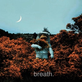 Breath. Petsmpi