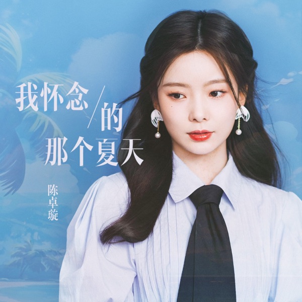 我怀念的那个夏天 - Single