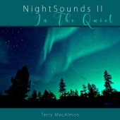 NightSounds II: In The Quiet artwork