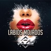 Labios Mojados - Single