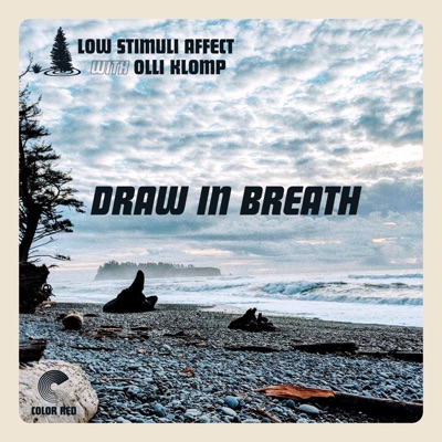 Draw in Breath - Single