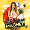 Magnet