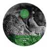 Hoxton cover art