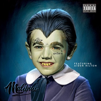 So Icy Gothic (feat. Aiden Hilton) - Single