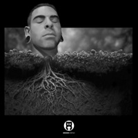 Deep Roots - Single - Rollen Poole & So-Ma