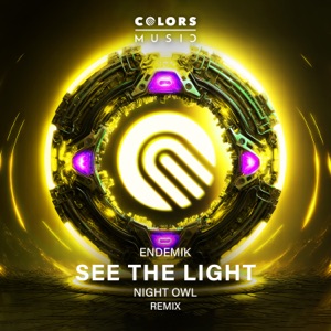 See the Light (Remix) - Single