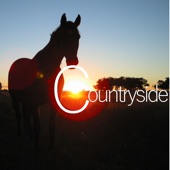 Country Horse artwork