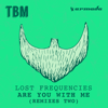 Are You With Me (Remixes Two) - Lost Frequencies