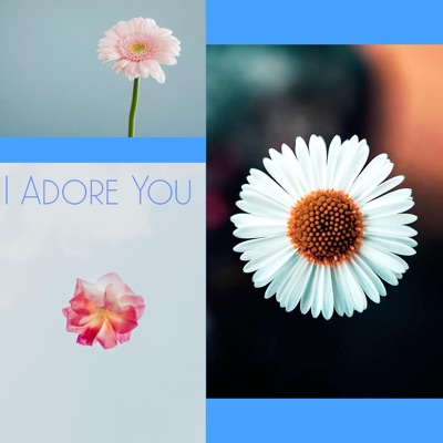 I Adore You - Single