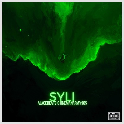 SYLI (Say You Like It) (feat. Onemanarmy905) - Single
