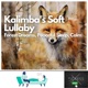 Kalimba s Soft Lullaby Forest Dreams Peaceful Sleep Calm