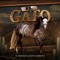 El Gato - El Fantasma & Grupo Laberinto lyrics