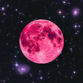 ПОТЕРЯЛАСЬ l1chi