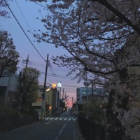 Like You Do - Single - manni ✰