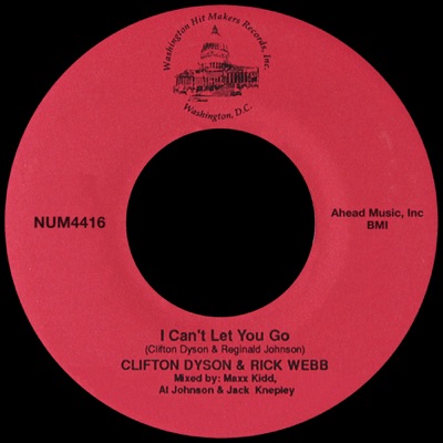 I Can't Let You Go - Single
