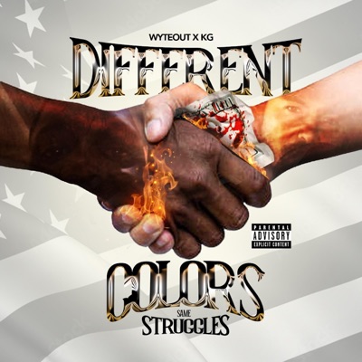 Different Colors Same Struggles
