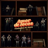 Amor de Locos (feat. Nesty) artwork