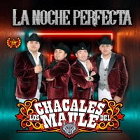 La Pulga _ La Chupadita (Mix)