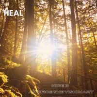 Heal (feat. Artifice, The Visionary) [Radio Edit] - Single - Nige B