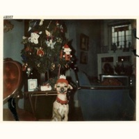 Not a Christmas Song (Last December) - Single - Aekicy