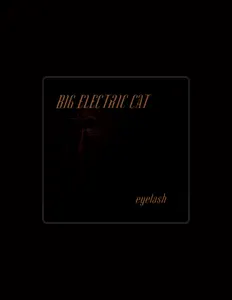 Listen to Big Electric Cat, watch music videos, read bio, see tour dates & more!