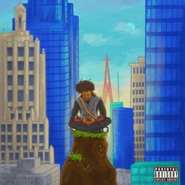 Namaste (feat. Scotty Wu) Dom Chronicles